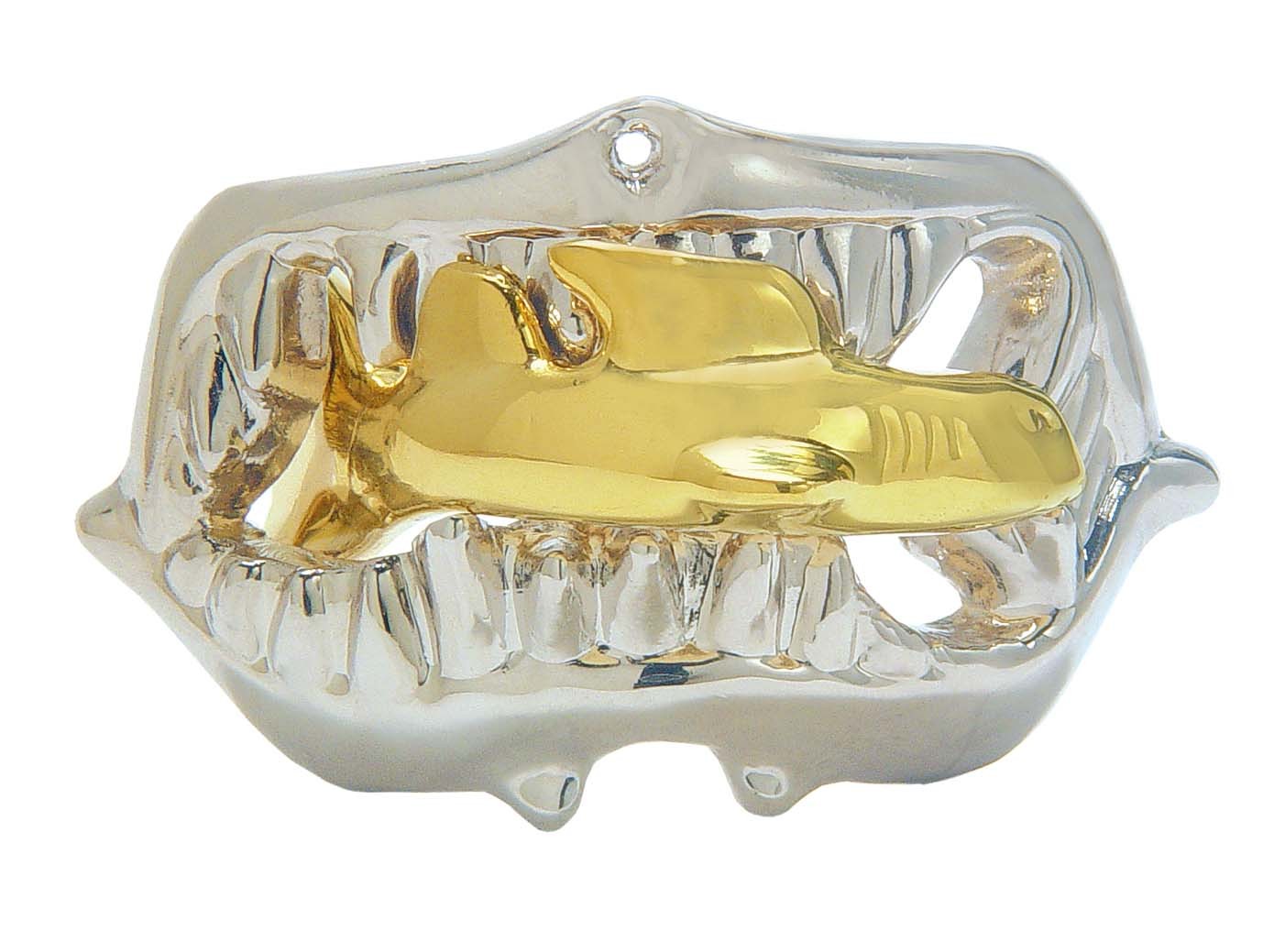 Cast Puzzle Shark