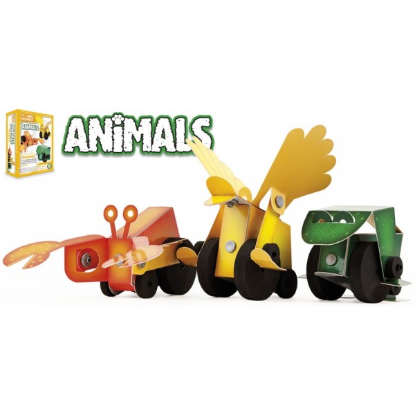 Animals